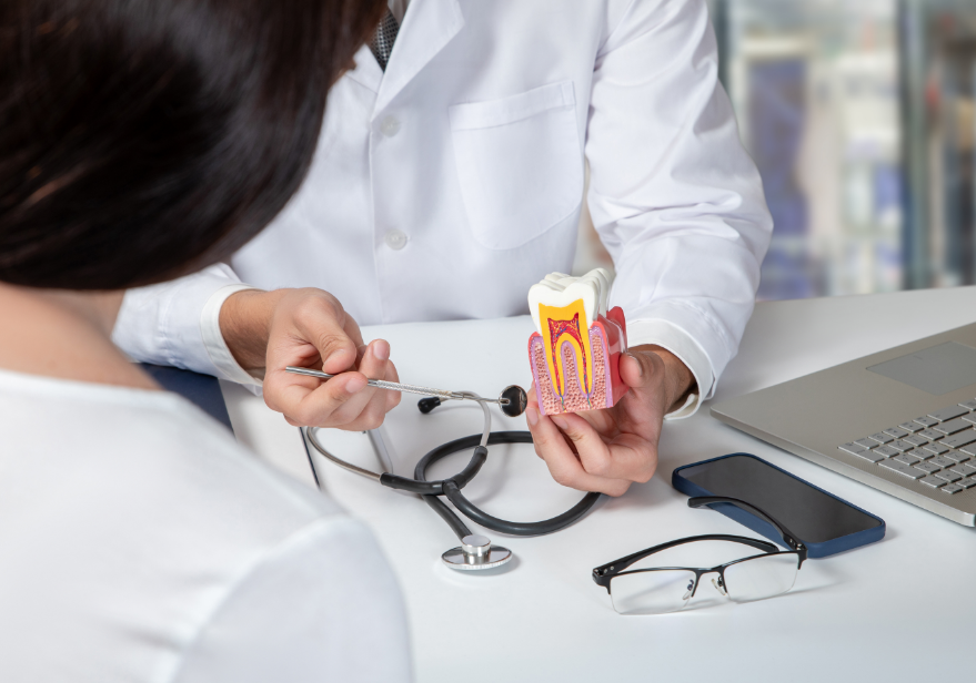 Dentist showing patient root canal model